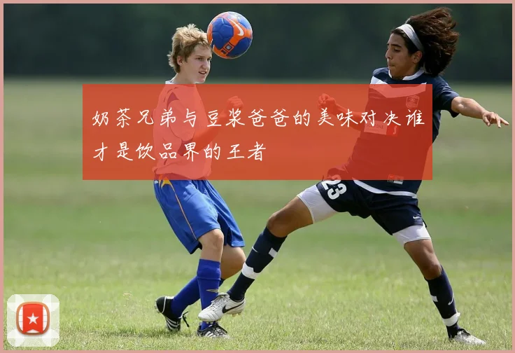 奶茶兄弟与豆浆爸爸的美味对决谁才是饮品界的王者