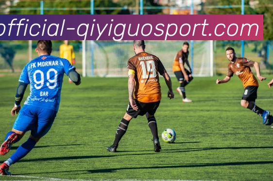 奇异果体育APP 封面图